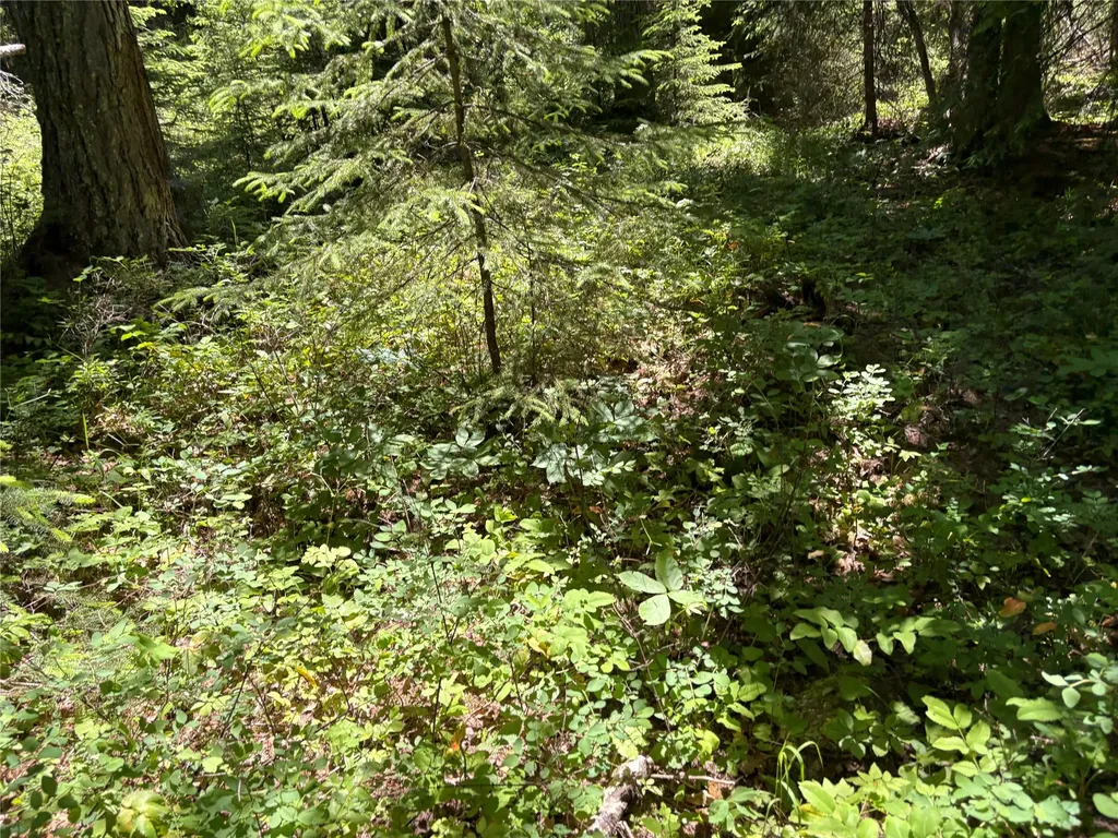 8025 Therriault Pass Road Eureka MT 59917