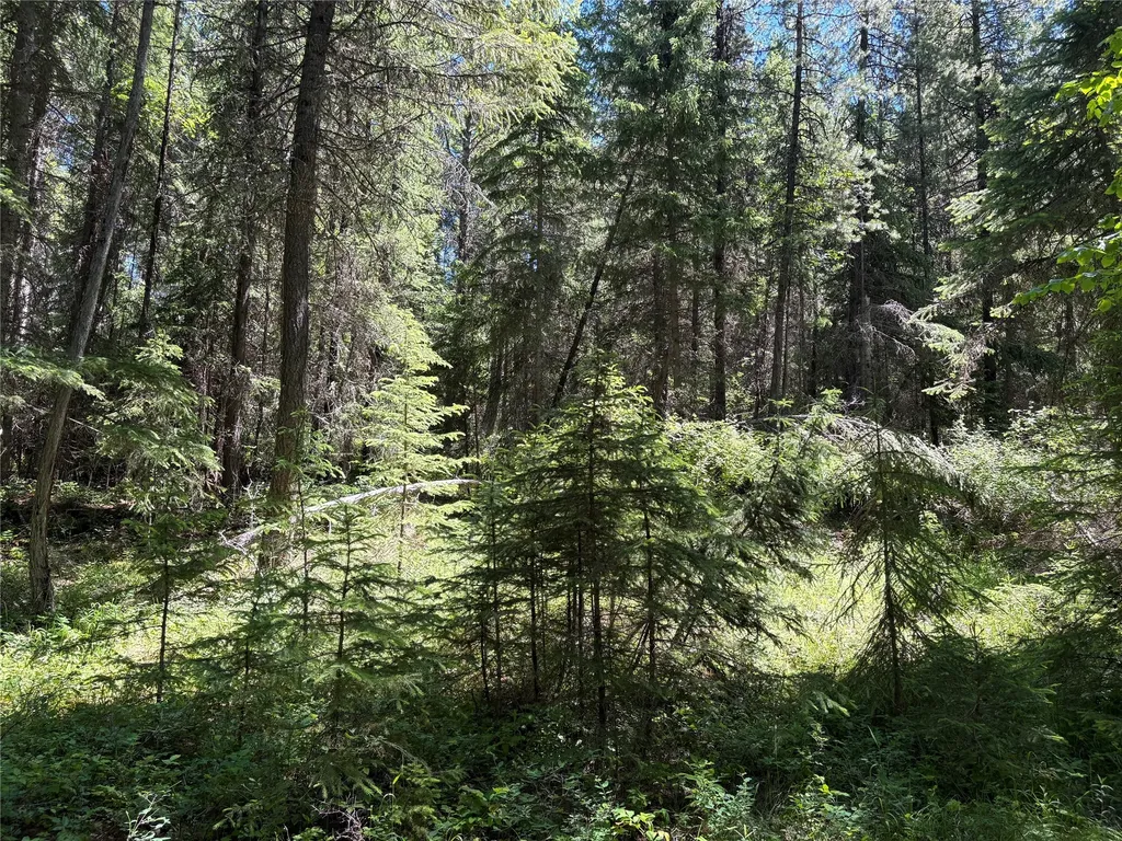 8025 Therriault Pass Road Eureka MT 59917