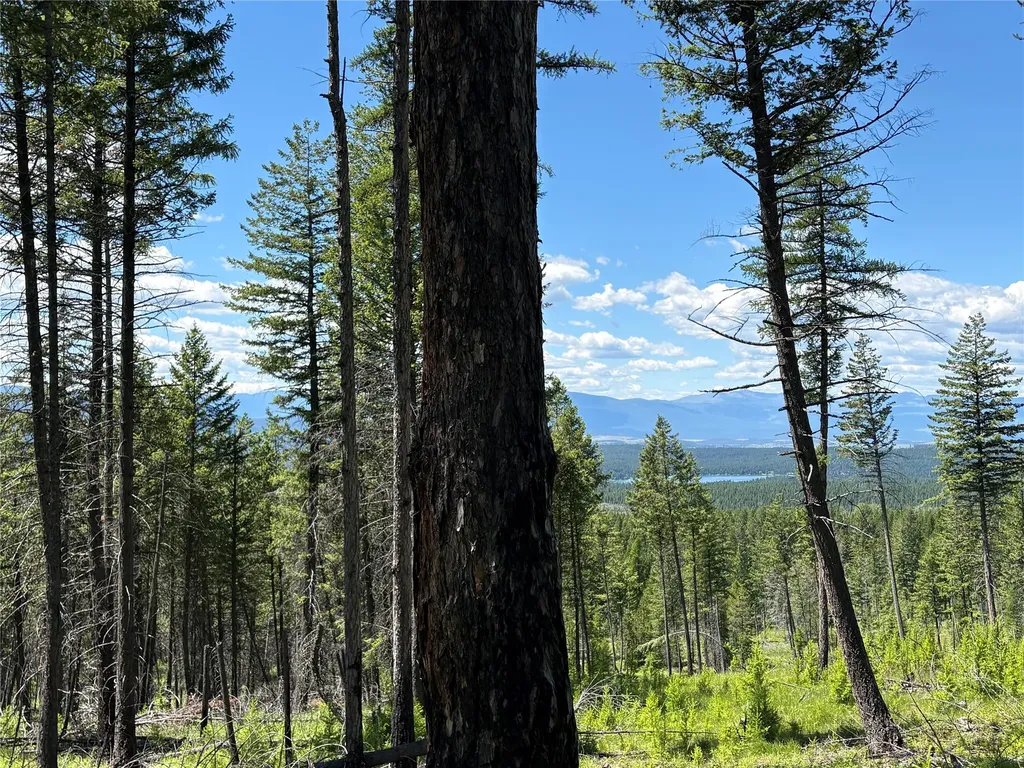 8025 Therriault Pass Road Eureka MT 59917