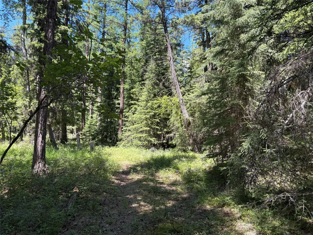 8025 Therriault Pass Road Eureka MT 59917