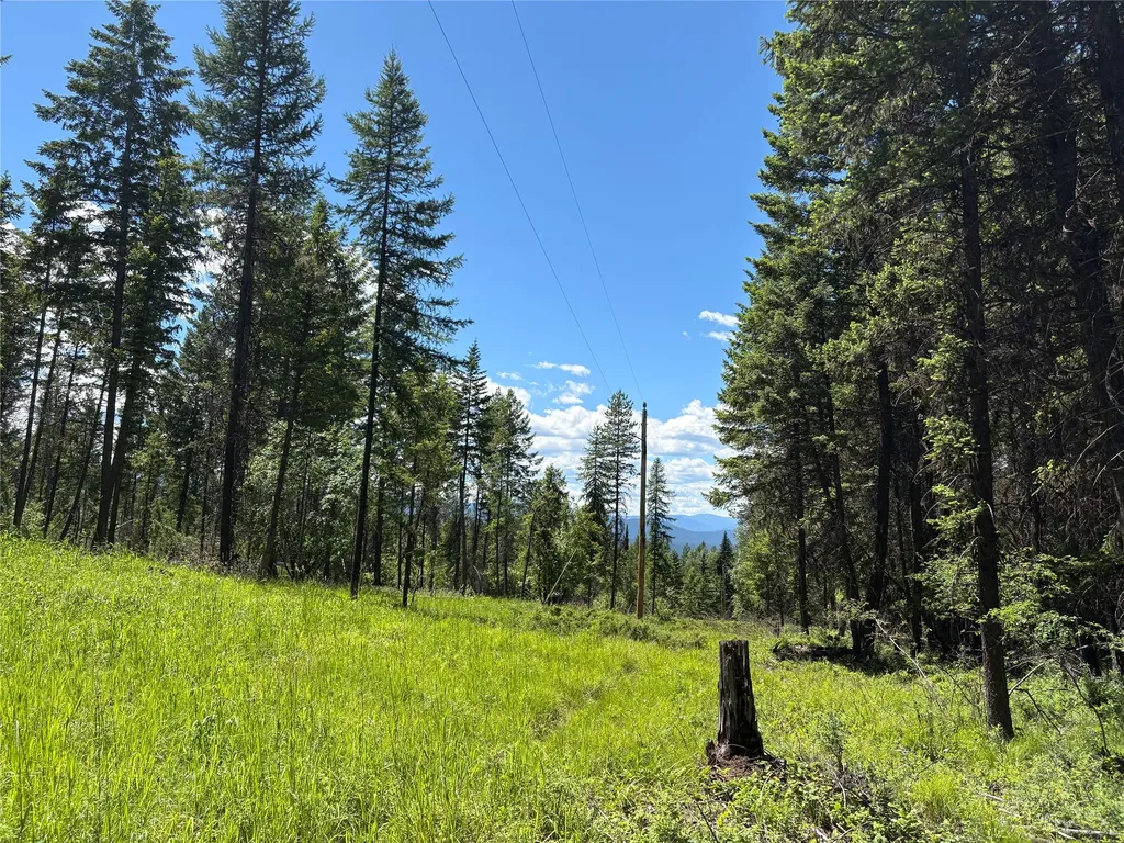 8025 Therriault Pass Road Eureka MT 59917