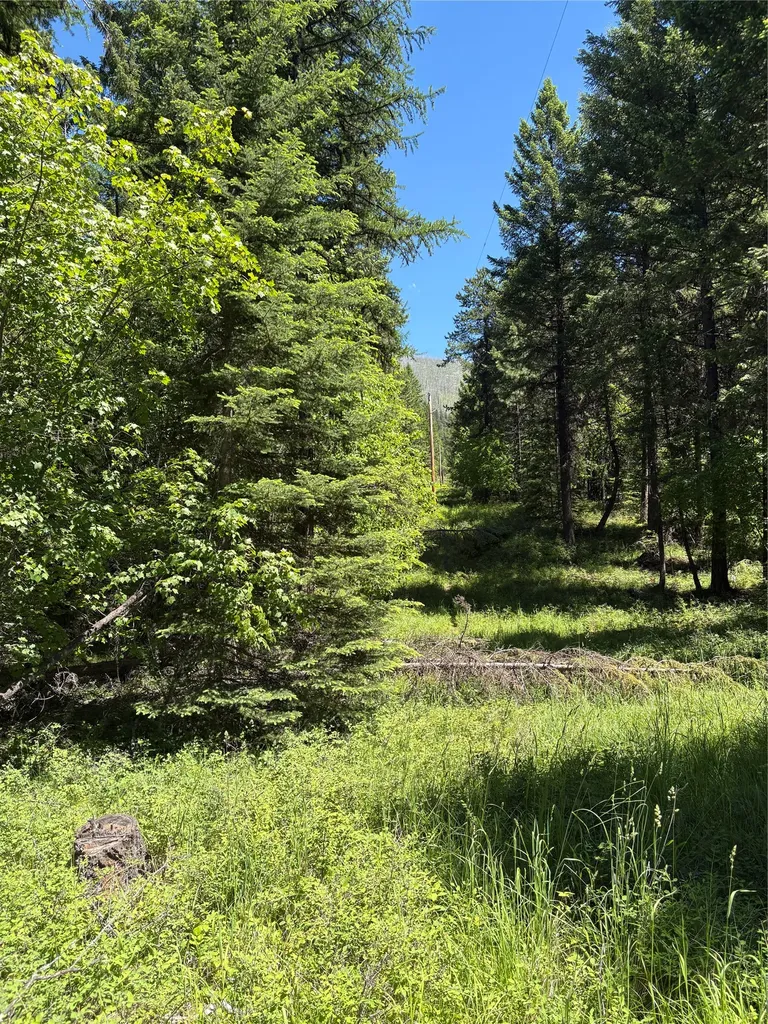 8025 Therriault Pass Road Eureka MT 59917