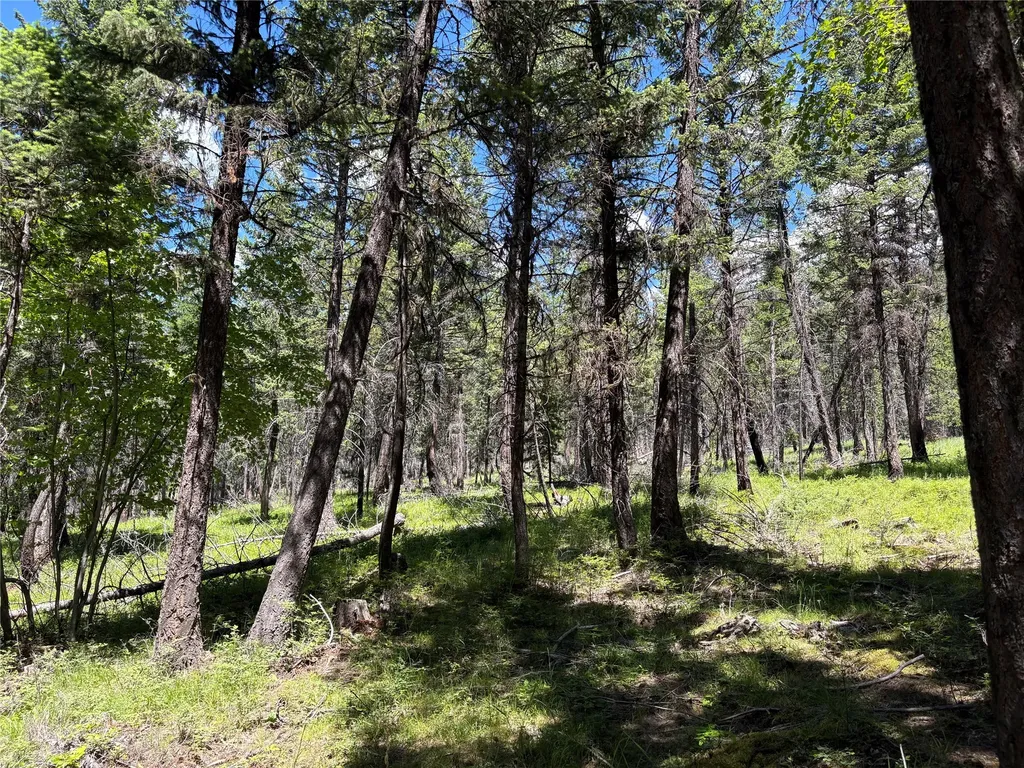 8025 Therriault Pass Road Eureka MT 59917