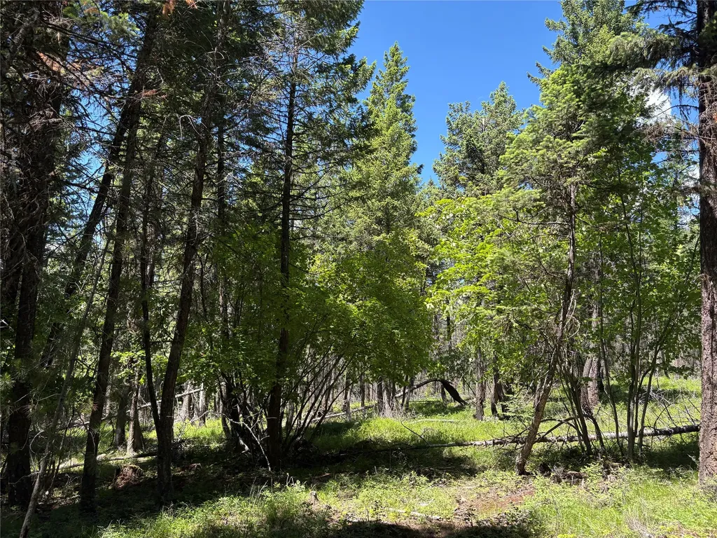 8025 Therriault Pass Road Eureka MT 59917
