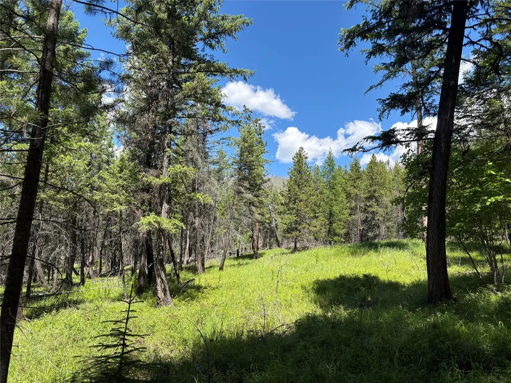8025 Therriault Pass Road Eureka MT 59917