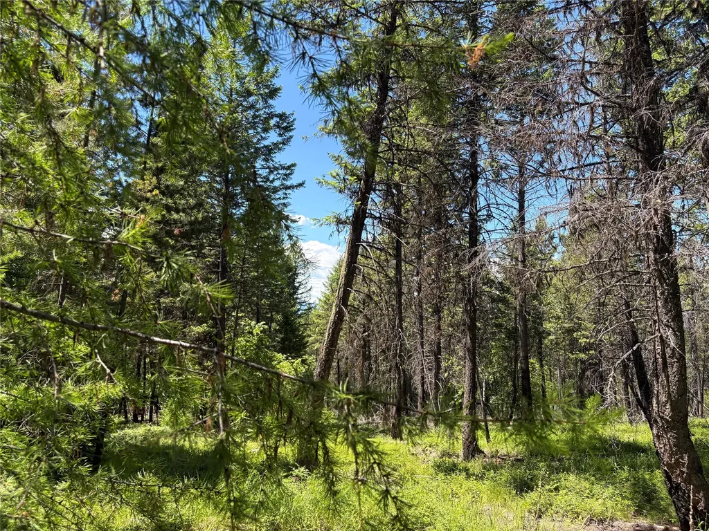 8025 Therriault Pass Road Eureka MT 59917