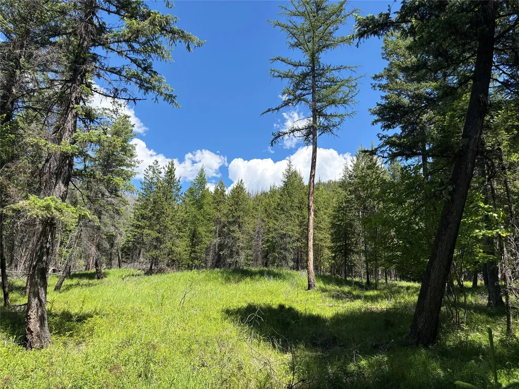 8025 Therriault Pass Road Eureka MT 59917