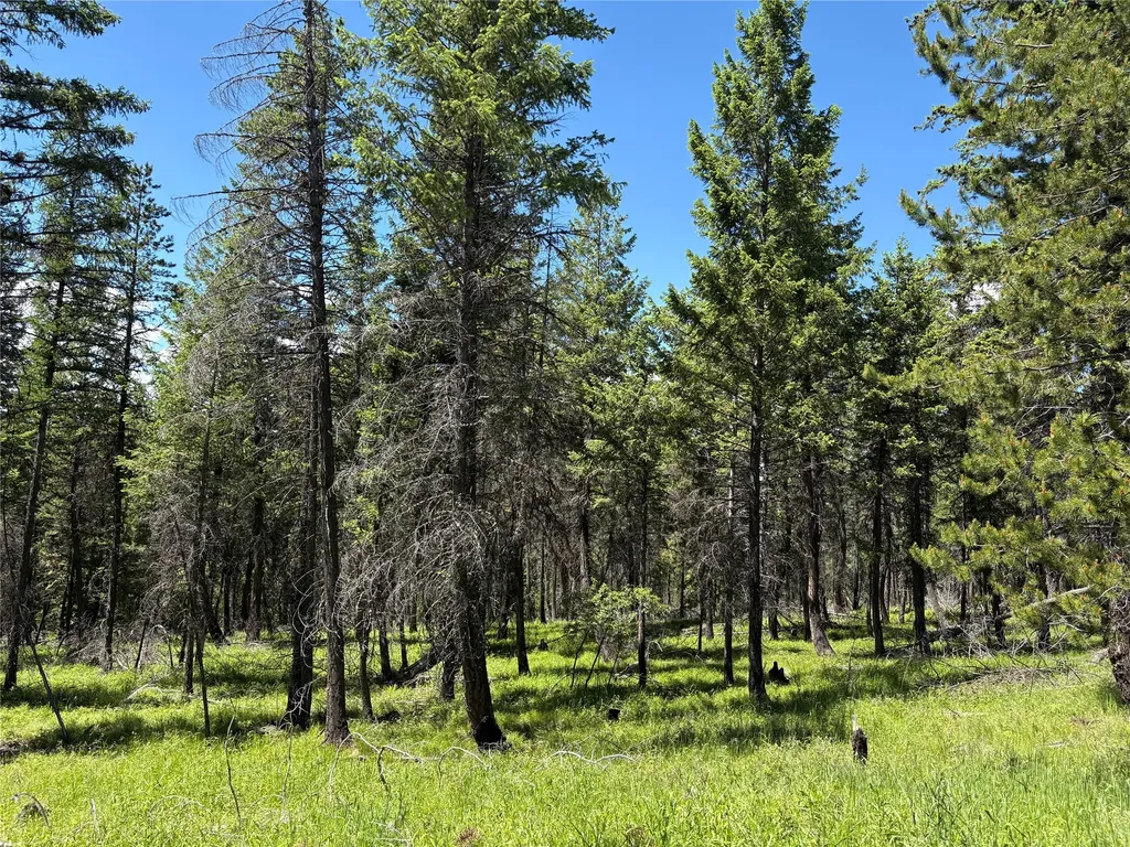 8025 Therriault Pass Road Eureka MT 59917