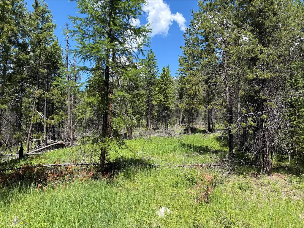 8025 Therriault Pass Road Eureka MT 59917