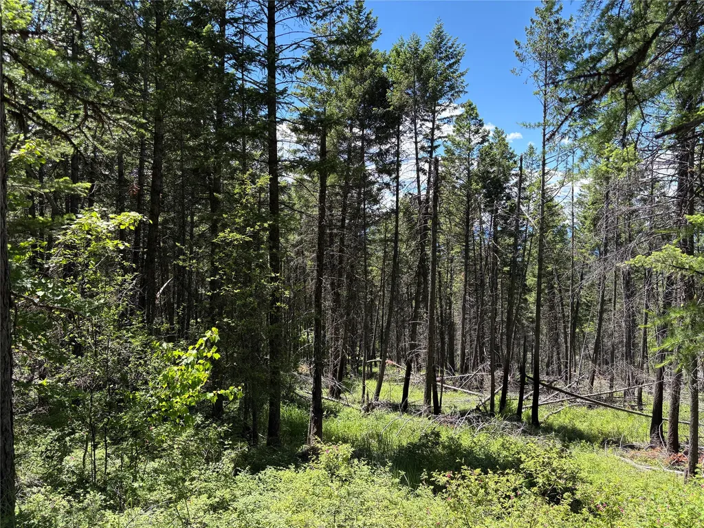 8025 Therriault Pass Road Eureka MT 59917