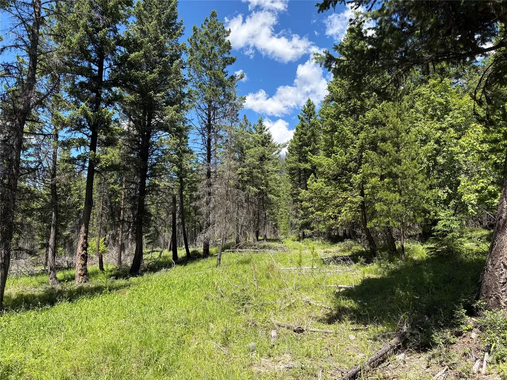 8025 Therriault Pass Road Eureka MT 59917