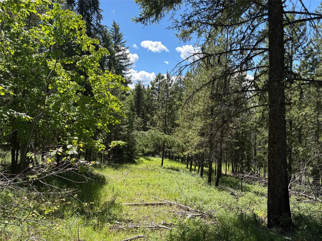 8025 Therriault Pass Road Eureka MT 59917