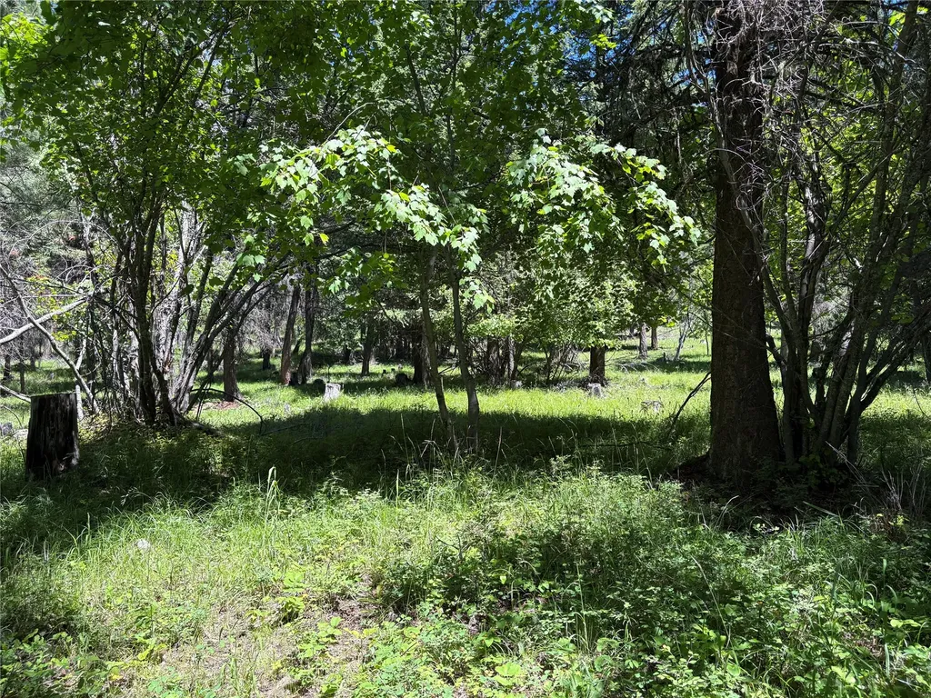 8025 Therriault Pass Road Eureka MT 59917