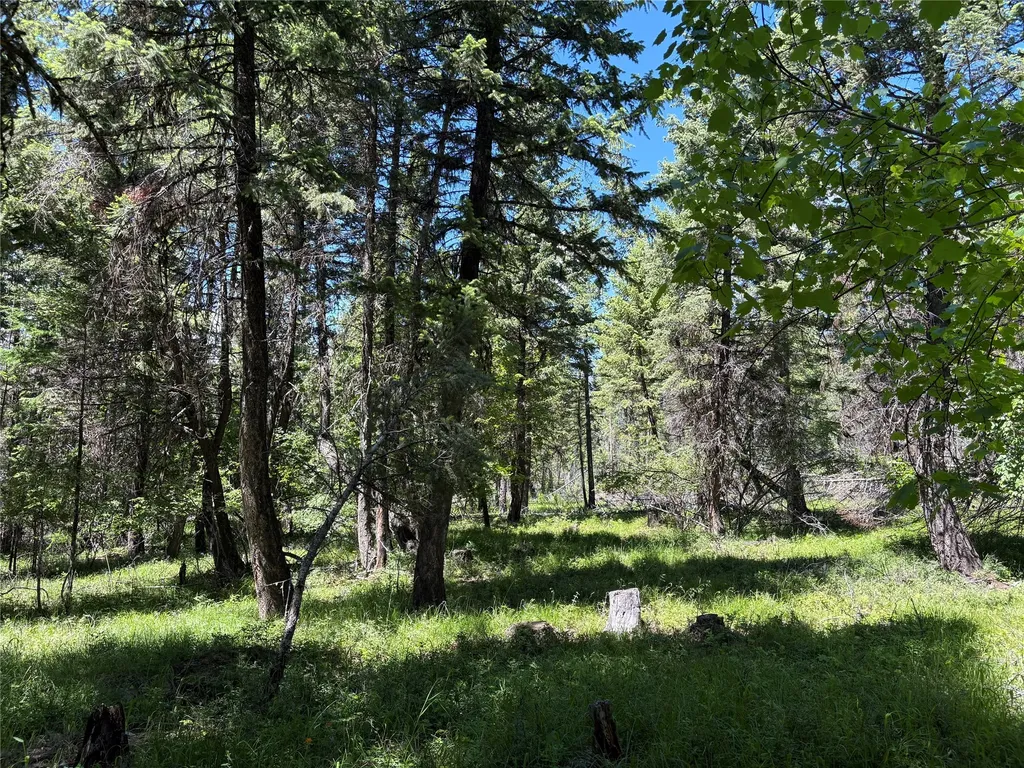 8025 Therriault Pass Road Eureka MT 59917