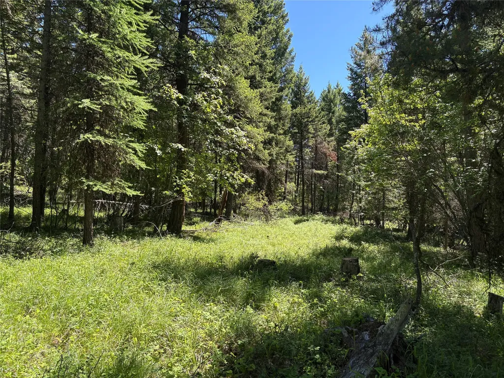 8025 Therriault Pass Road Eureka MT 59917