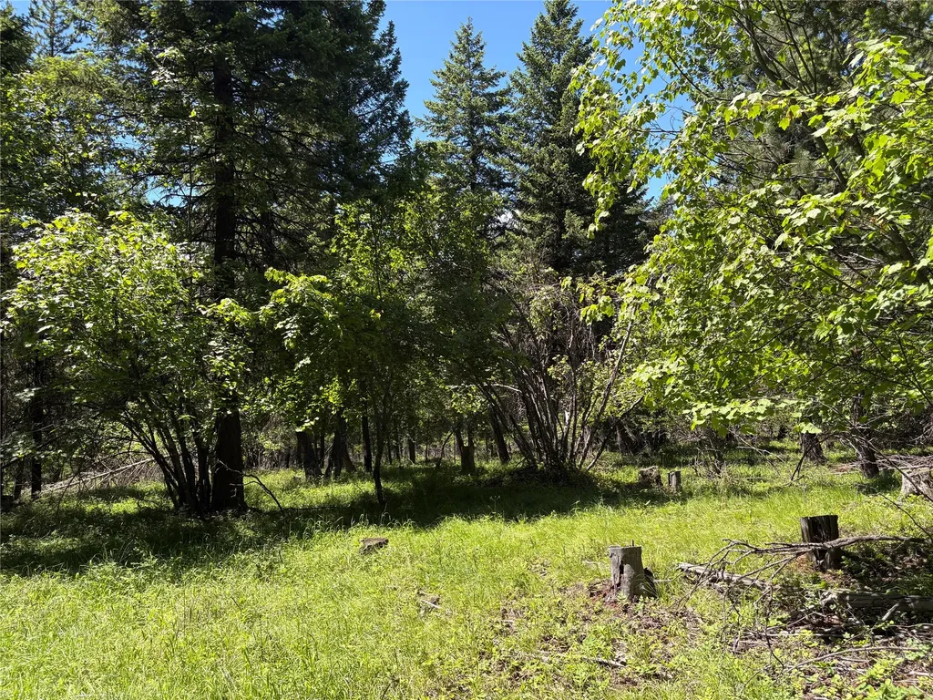 8025 Therriault Pass Road Eureka MT 59917