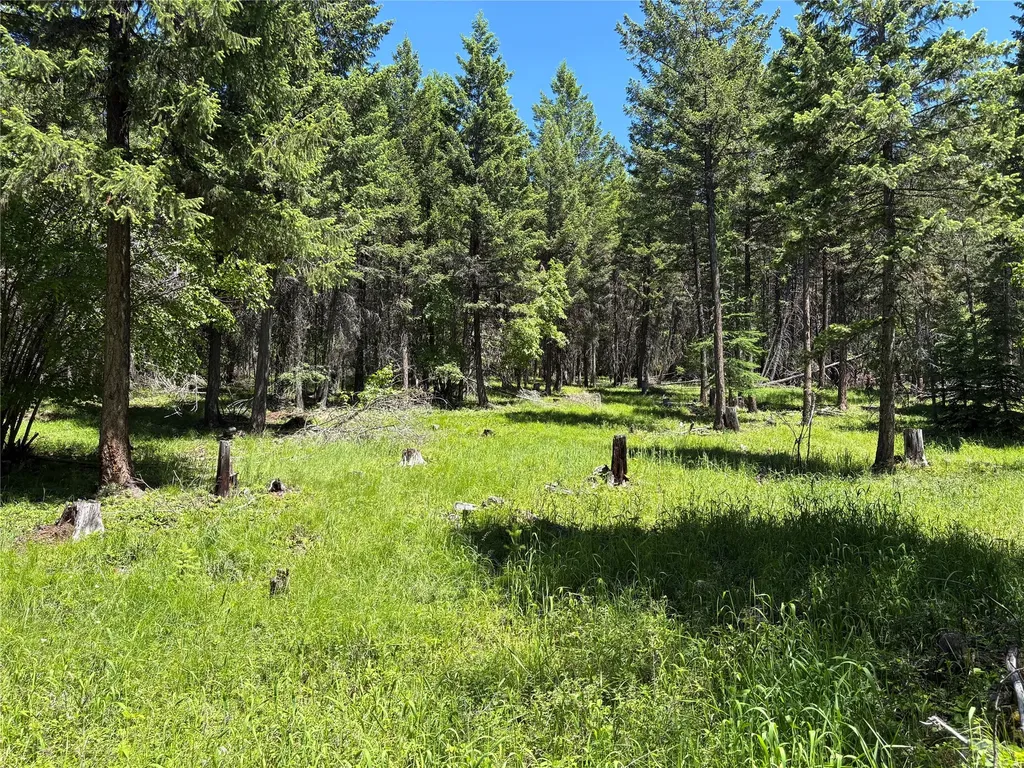 8025 Therriault Pass Road Eureka MT 59917