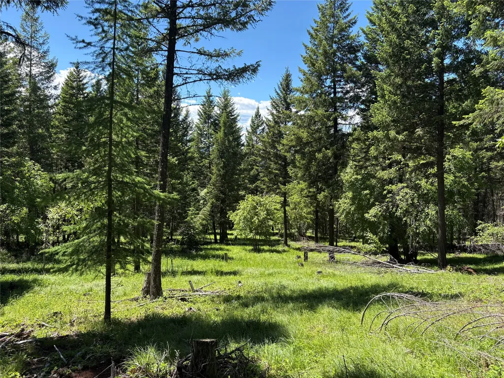 8025 Therriault Pass Road Eureka MT 59917