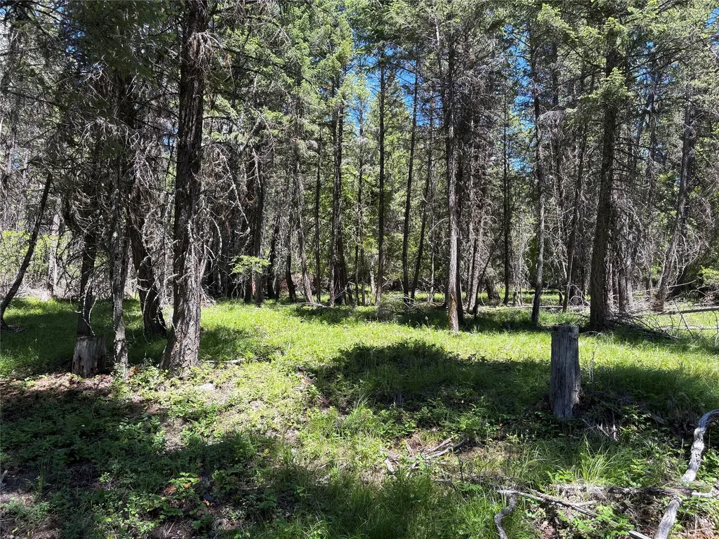 8025 Therriault Pass Road Eureka MT 59917
