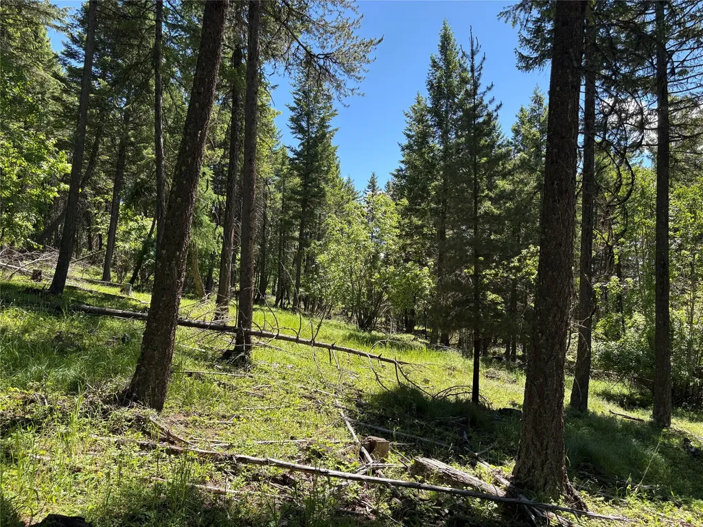 8025 Therriault Pass Road Eureka MT 59917