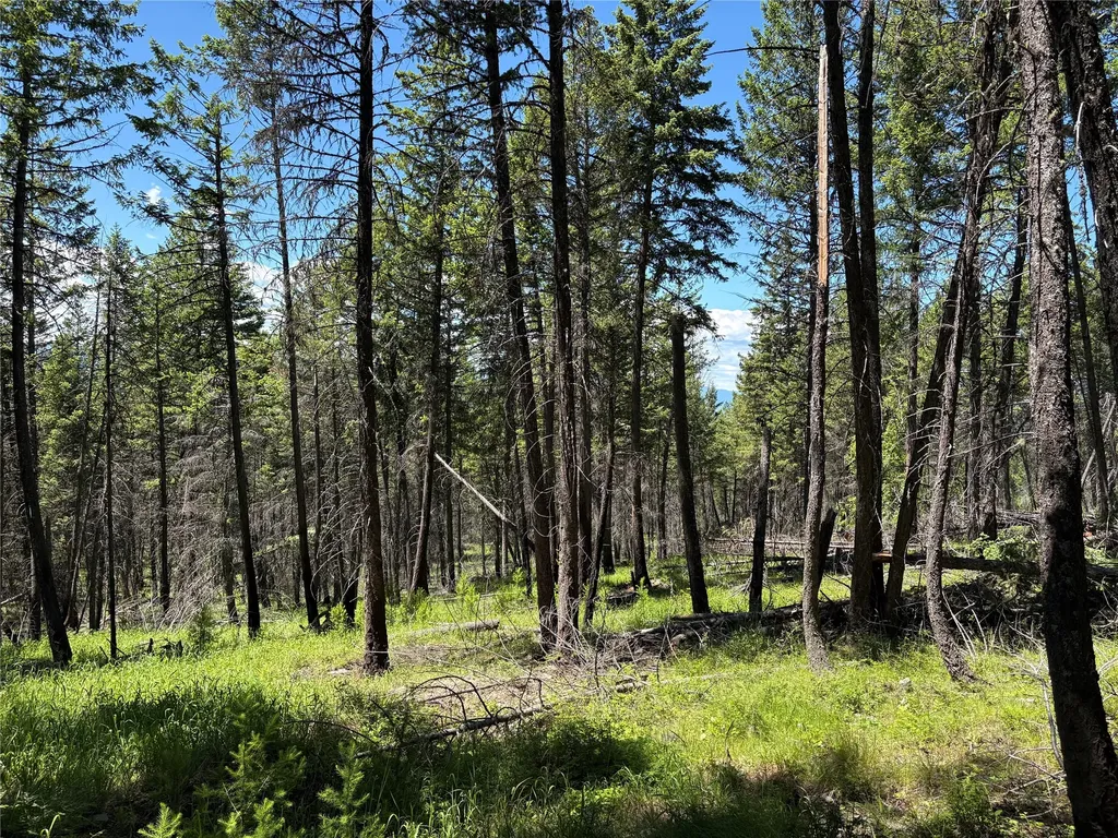 8025 Therriault Pass Road Eureka MT 59917