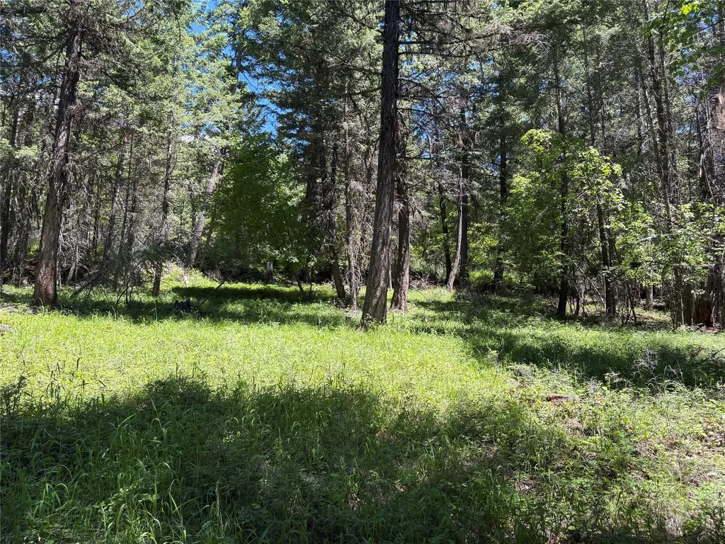8025 Therriault Pass Road Eureka MT 59917