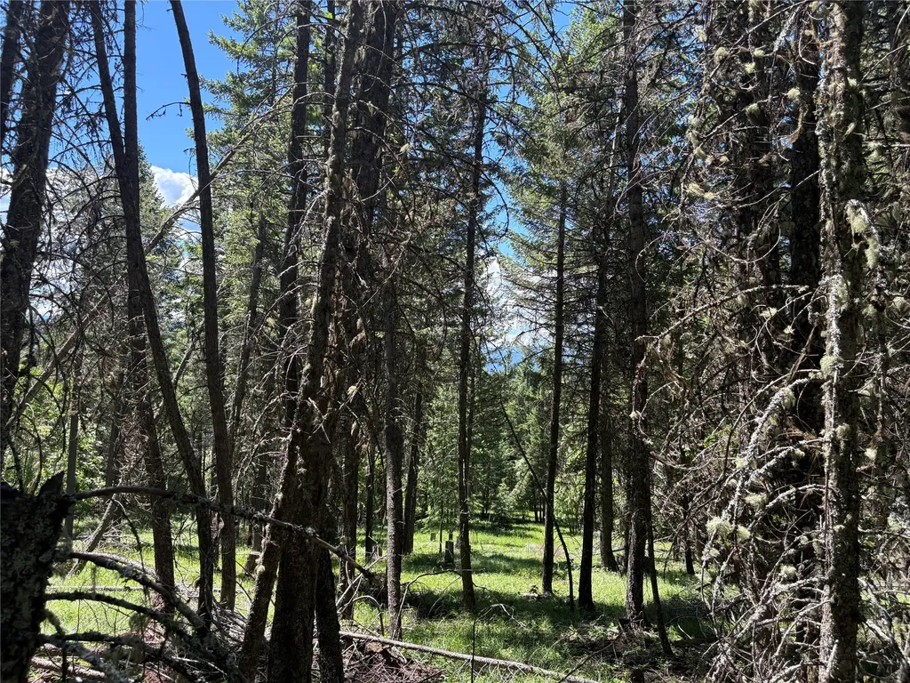 8025 Therriault Pass Road Eureka MT 59917