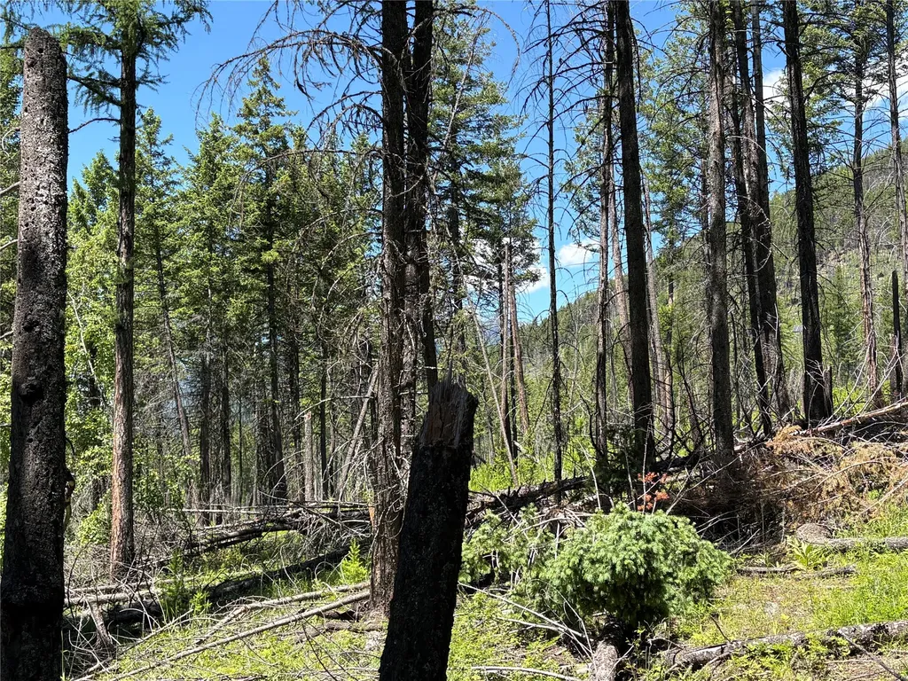 8025 Therriault Pass Road Eureka MT 59917