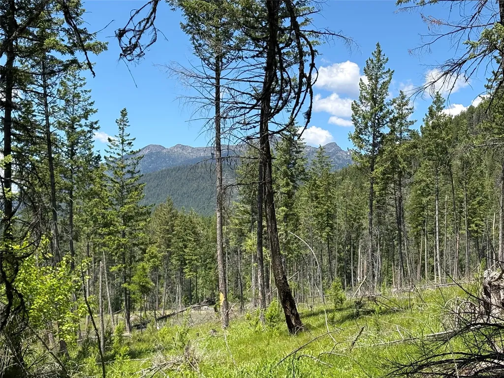8025 Therriault Pass Road Eureka MT 59917