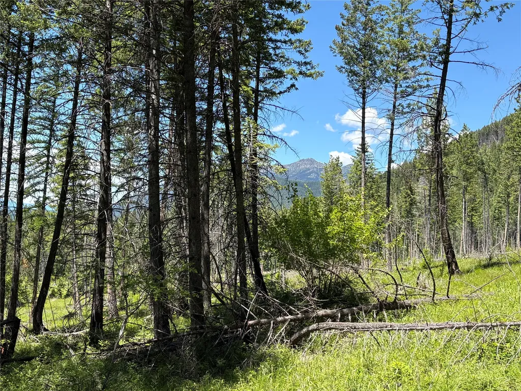 8025 Therriault Pass Road Eureka MT 59917