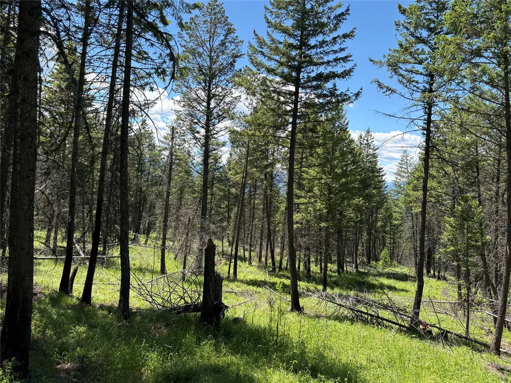 8025 Therriault Pass Road Eureka MT 59917