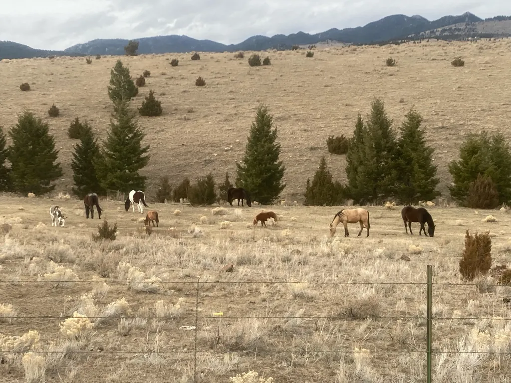 49 Cedar Crest Road Whitehall MT 59759
