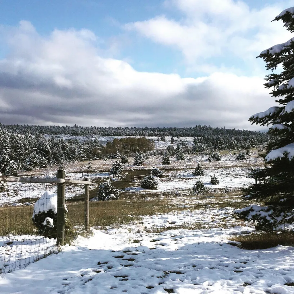 49 Cedar Crest Road Whitehall MT 59759