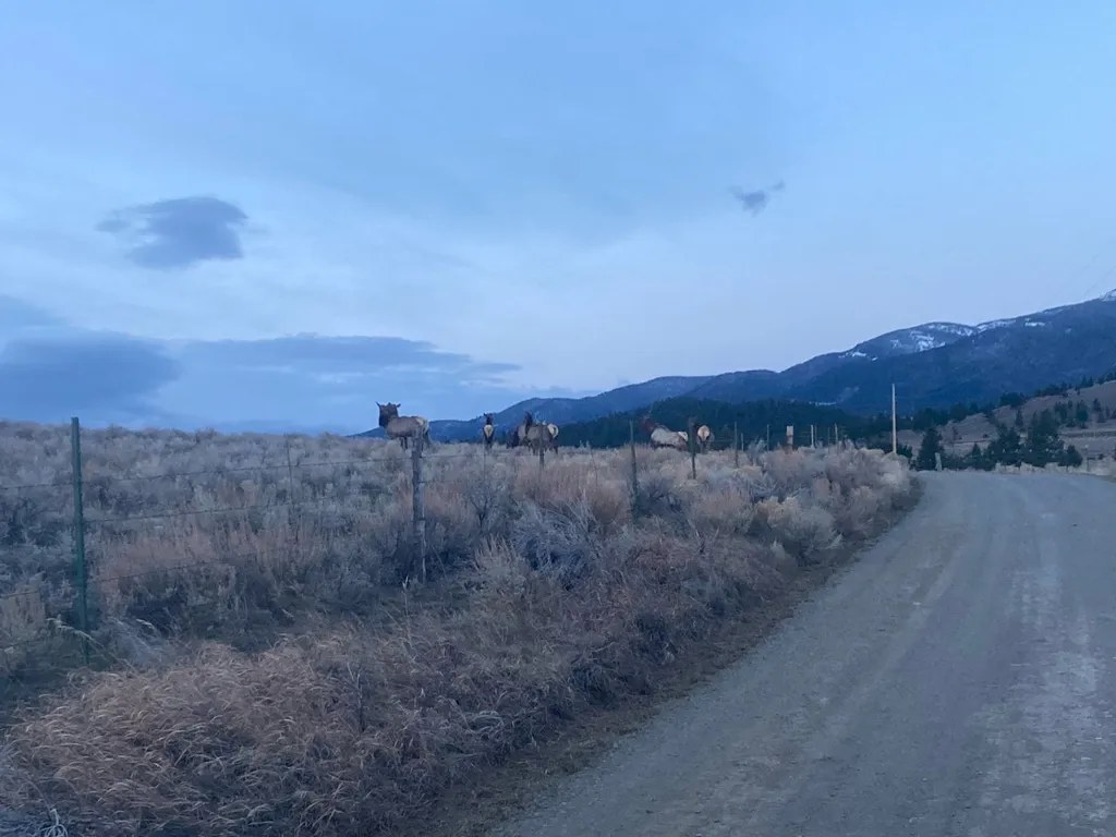 49 Cedar Crest Road Whitehall MT 59759