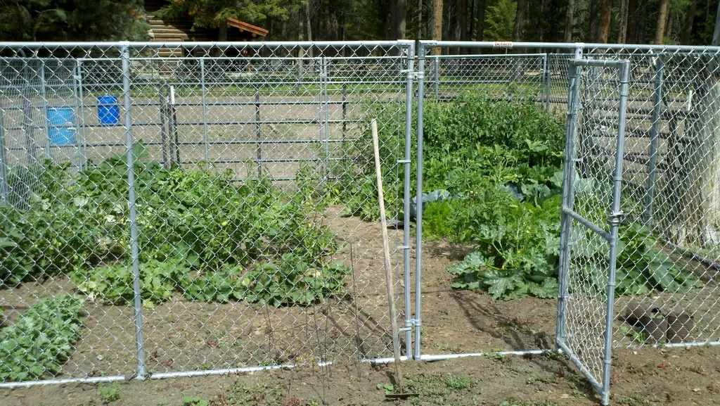 2133 Lost Horse Trail Hamilton MT 59840