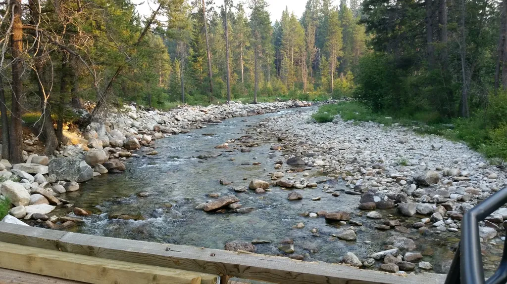 2133 Lost Horse Trail Hamilton MT 59840