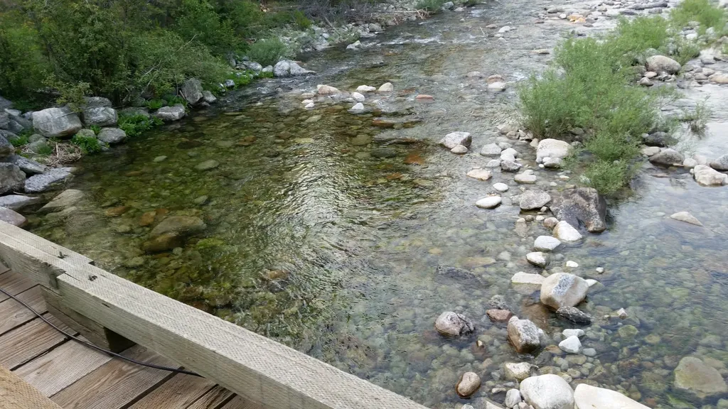2133 Lost Horse Trail Hamilton MT 59840