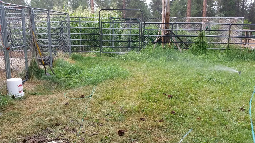 2133 Lost Horse Trail Hamilton MT 59840