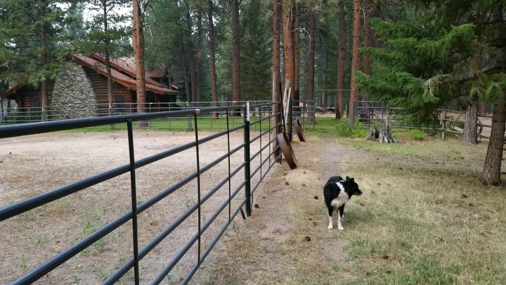 2133 Lost Horse Trail Hamilton MT 59840
