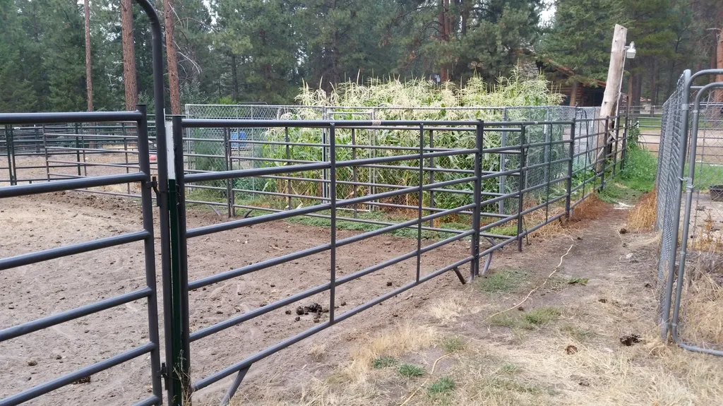 2133 Lost Horse Trail Hamilton MT 59840