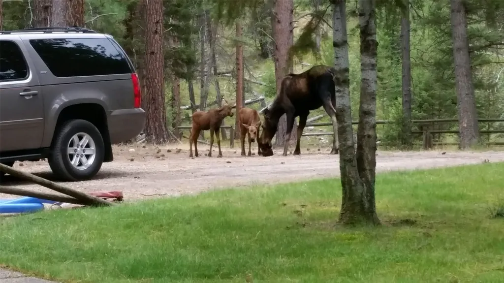 2133 Lost Horse Trail Hamilton MT 59840