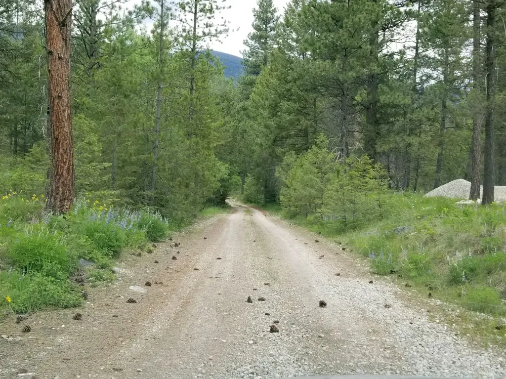 2133 Lost Horse Trail Hamilton MT 59840
