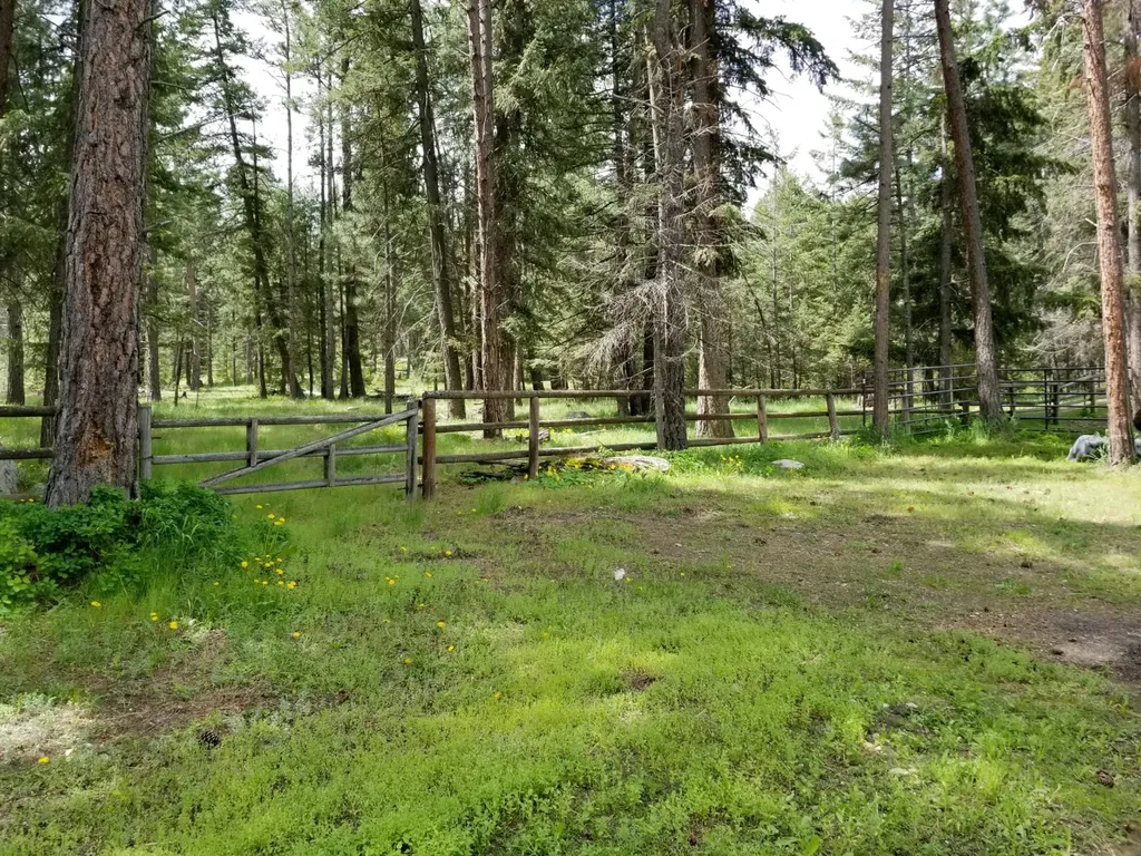2133 Lost Horse Trail Hamilton MT 59840