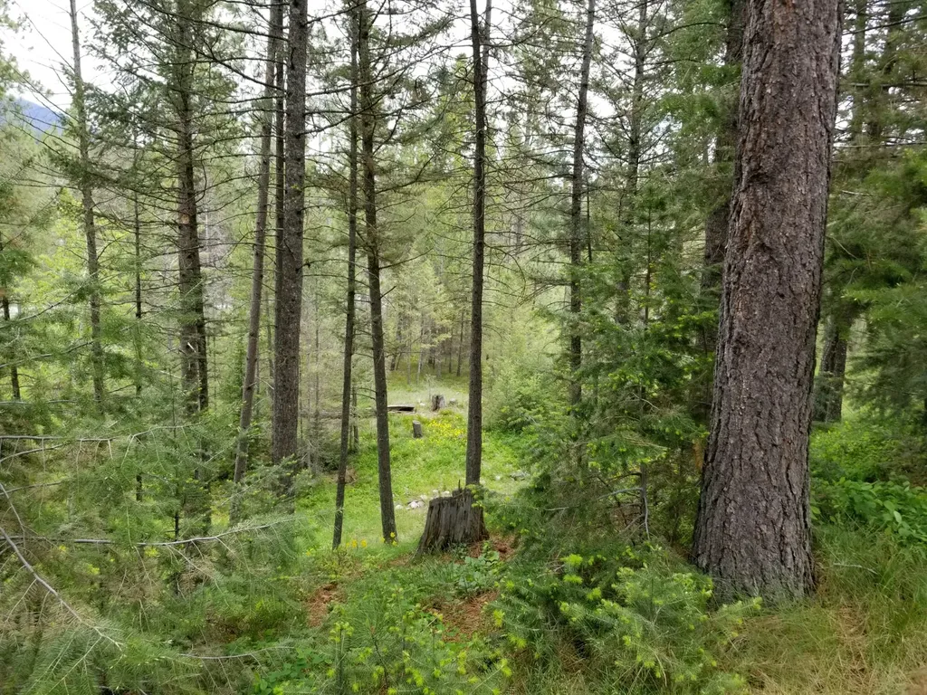 2133 Lost Horse Trail Hamilton MT 59840