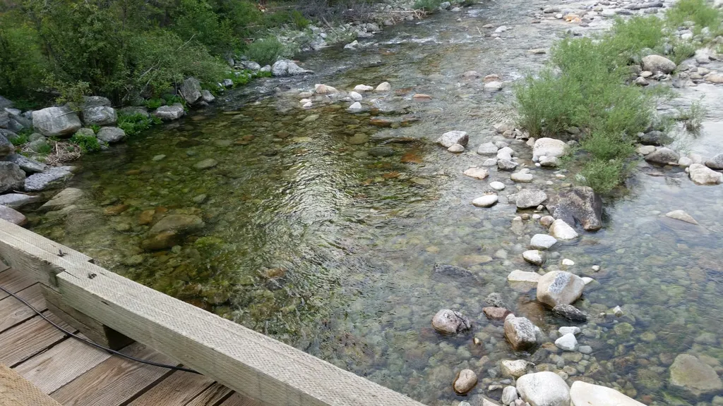 2133 Lost Horse Trail Hamilton MT 59840