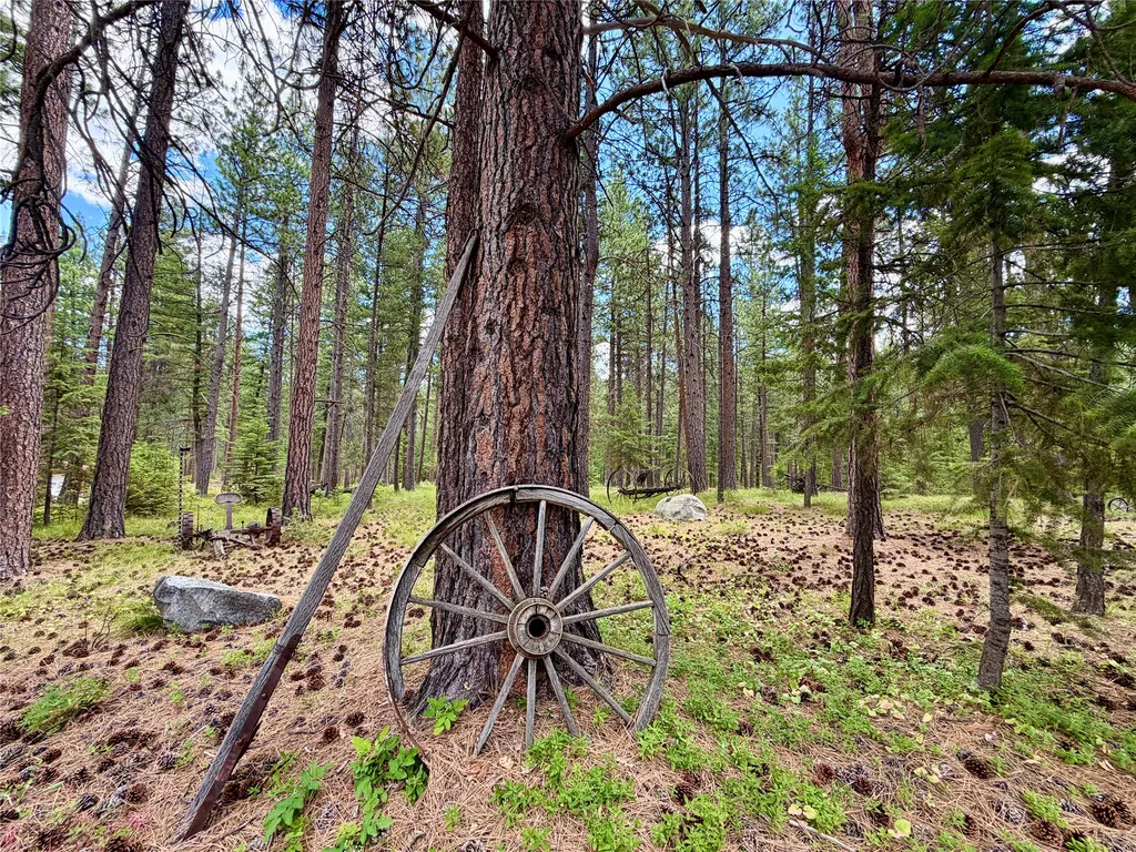 2133 Lost Horse Trail Hamilton MT 59840