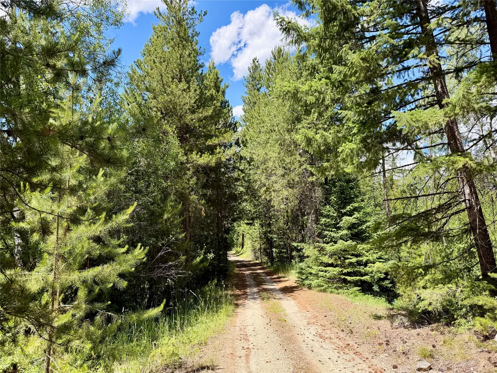 2133 Lost Horse Trail Hamilton MT 59840