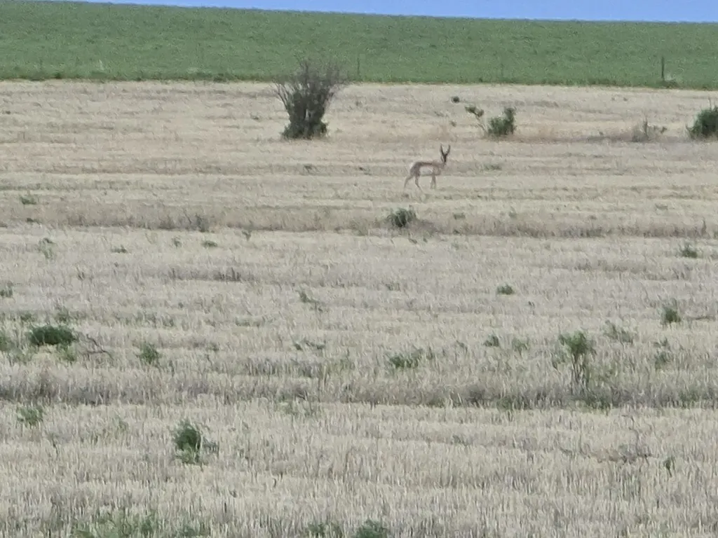 Nhn 5th NW Choteau MT 59422