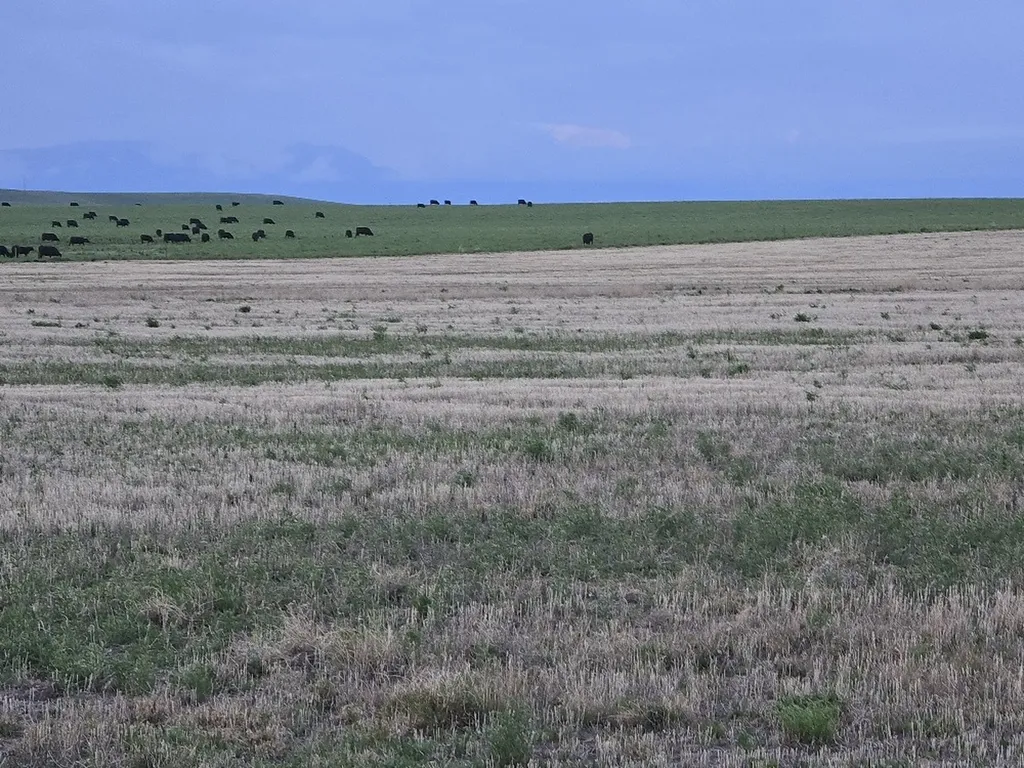 Nhn 5th Lane NW Choteau MT 59422