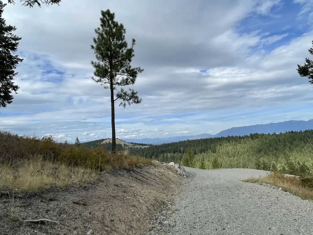 69 Overlook Ridge Kalispell MT 59901